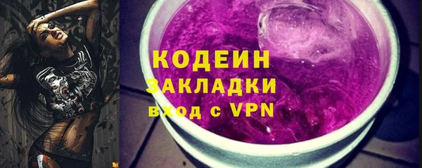 гидра Богородицк