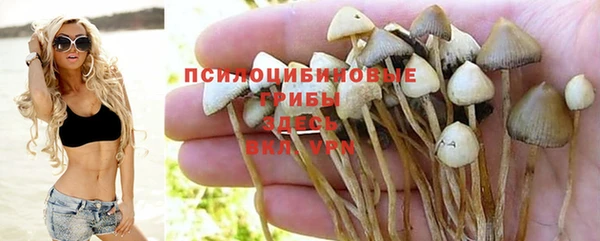 каннабис Волоколамск